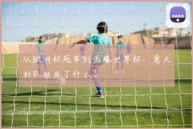 从欧洲杯冠军到无缘世界杯，意大利队经历了什么？